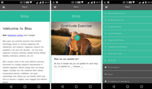 Bliss gratitude app 2