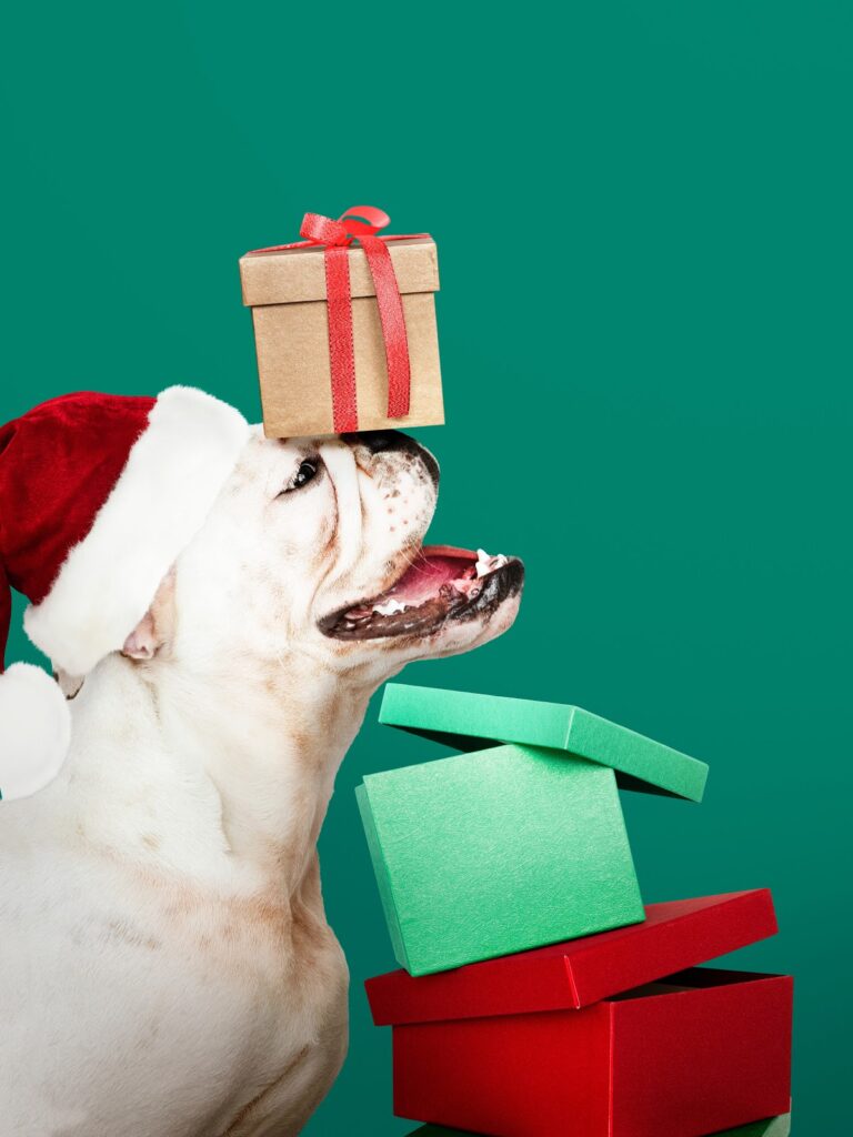 Presents on dog's nose.