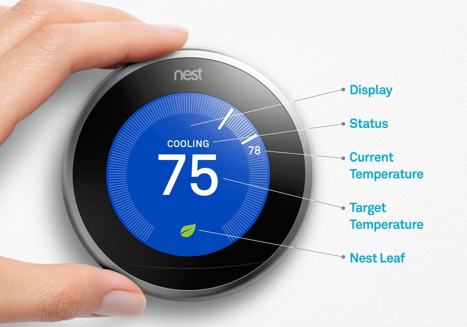 Nest thermostat temp control screen