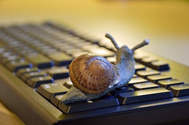 Snail on a keyboard representing a slow pc
