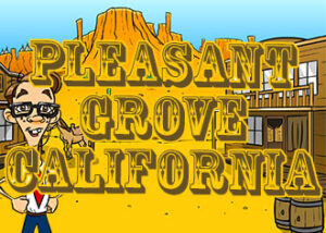 Nerds On Call Pleasant Grove graphic.