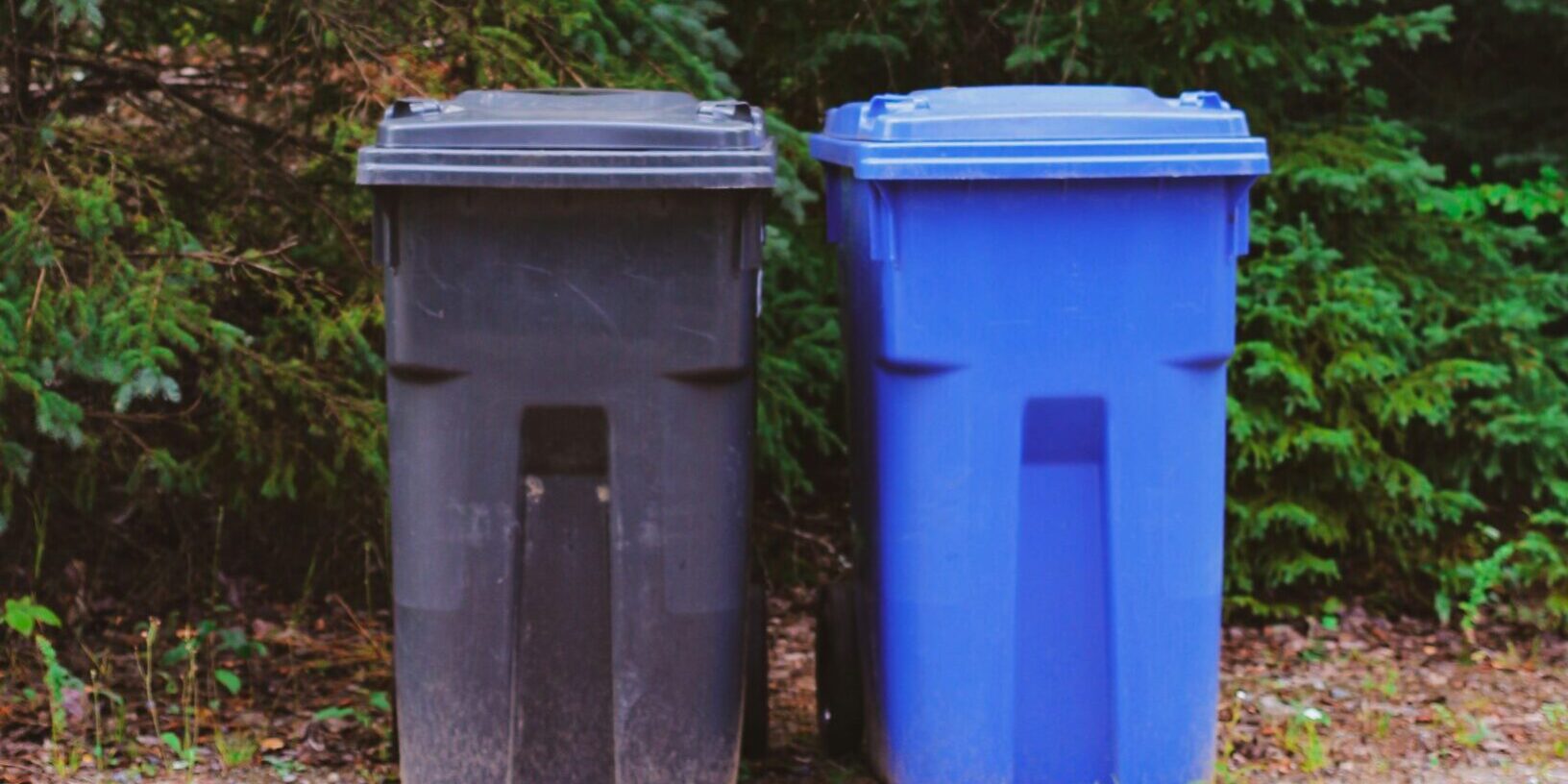 E-Waste Disposal Redding Services: Recycle bins in woods