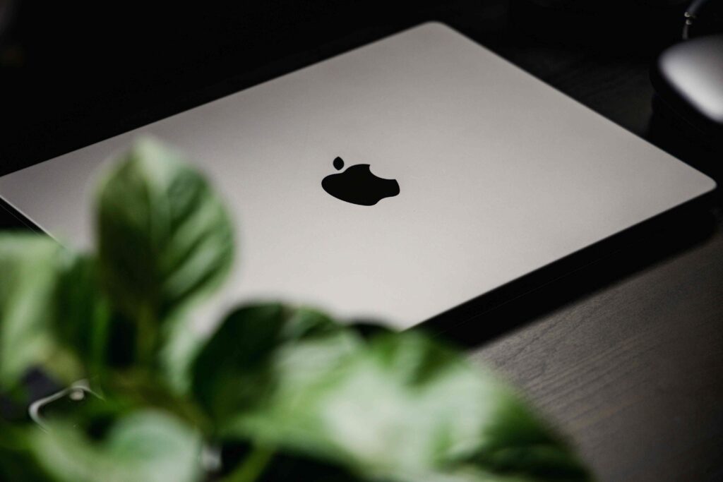 MacBook Pro on a desk with a plant in the foreground